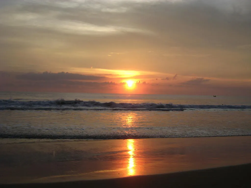 Guest house Jickys Nest Hotel Varkala